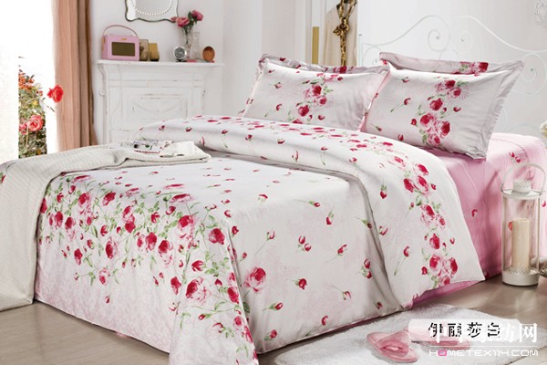 伊麗莎白  用途套件